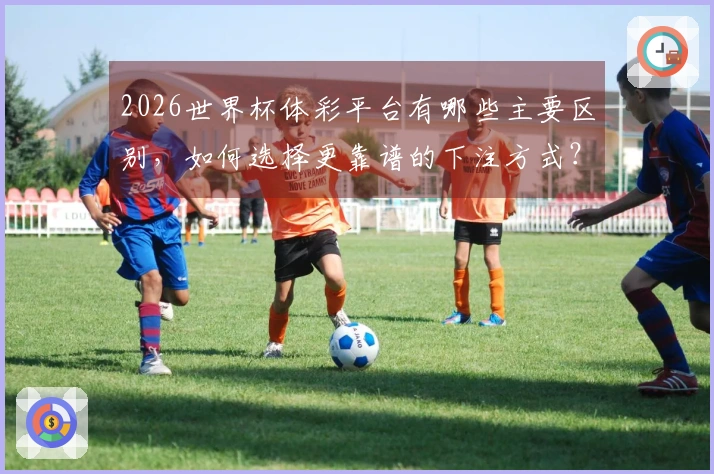 2026世界杯体彩平台有哪些主要区别，如何选择更靠谱的下注方式？