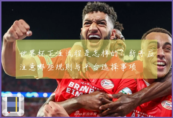 世界杯下注流程是怎样的？新手应注意哪些规则与平台选择事项