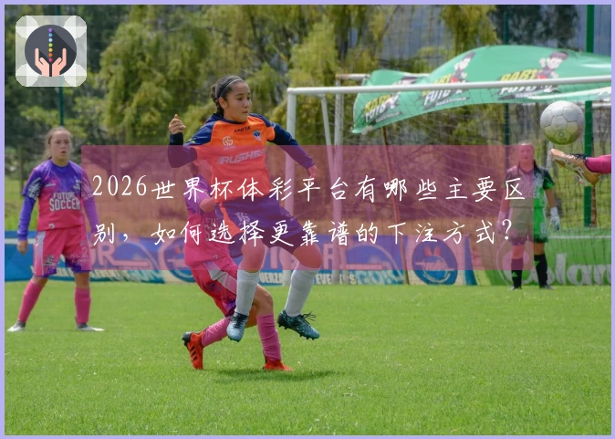 2026世界杯体彩平台有哪些主要区别，如何选择更靠谱的下注方式？