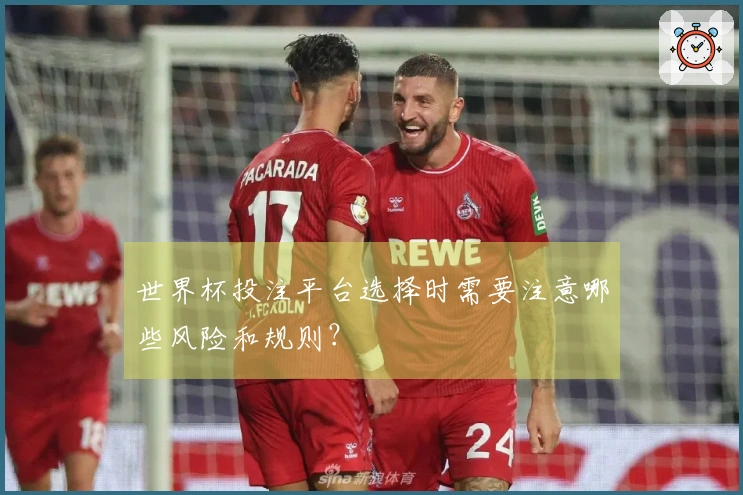 世界杯投注平台选择时需要注意哪些风险和规则？