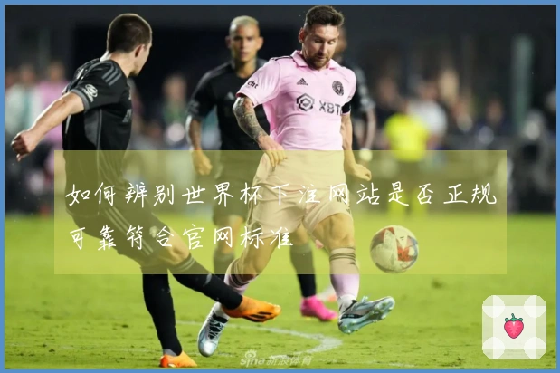 如何辨别世界杯下注网站是否正规可靠符合官网标准