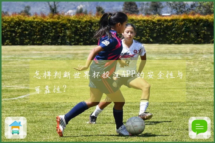 怎样判断世界杯投注APP的安全性与可靠性？