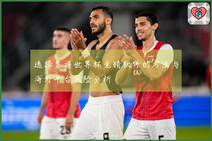 选择靠谱世界杯竞猜软件的方法与海外平台风险分析