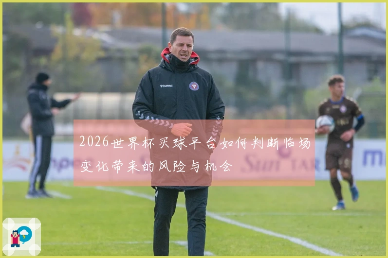 2026世界杯买球平台如何判断临场变化带来的风险与机会