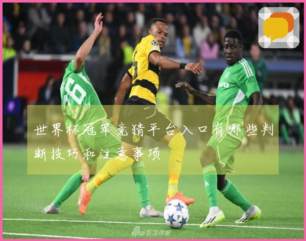世界杯冠军竞猜平台入口有哪些判断技巧和注意事项